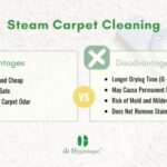 What are the Disadvantages of Steam Carpet Cleaning